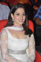 Tamanna Stills in Tadakha Audio Launch